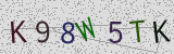 Visual CAPTCHA challenge
