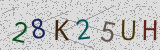 Visual CAPTCHA challenge