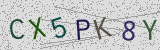 Visual CAPTCHA challenge
